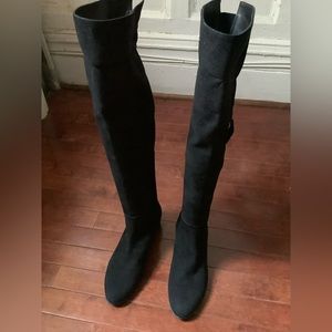 Stuart Weitzman Ladies Over The Knee Suede/Leather Boots